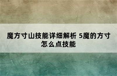 魔方寸山技能详细解析 5魔的方寸怎么点技能